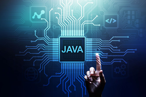 Programmatore Java